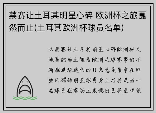 禁赛让土耳其明星心碎 欧洲杯之旅戛然而止(土耳其欧洲杯球员名单)